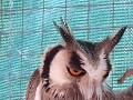 DSCF1538