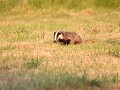 IMG 7490