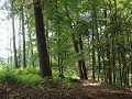 voerense bossen