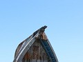 IMG 6179