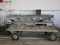 sorteermachines oesters
