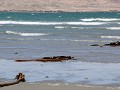 IMG 6296