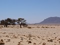 IMG 6440