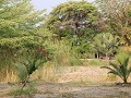 Laatste stopplaats in Caprivi : Mobala Island Lodg