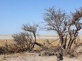IMG 1103