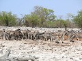 IMG 1115