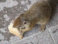 IMG 1189