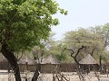 typisch afrikaans dorpje onderweg naar het mahango