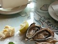 namibische oesters