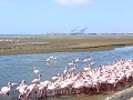 IMG 1408