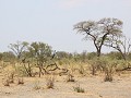 Mudumu national park : opvallend groener dan de re