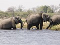 nauw aansluiten, allez hop, we moeten naar de over