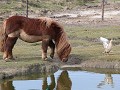 IMG 6250