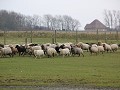 IMG 6257