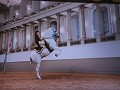 IMG 9937