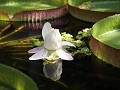 IMG 0326