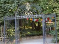 IMG 0540