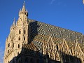 IMG 0885