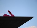 IMG 0904