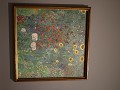 IMG 0594