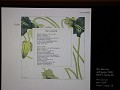 IMG 0657