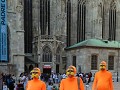 IMG 0879