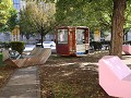 IMG 1596