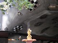 IMG 1645
