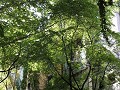 IMG 1661