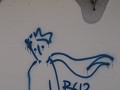 IMG 1681