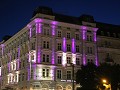 IMG 1159