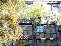 IMG 1793