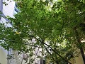 IMG 1693