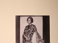 IMG 2103