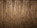 IMG 2110