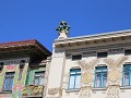 IMG 2201