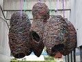 IMG 9073