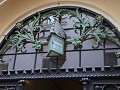 IMG 8752
