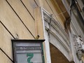 IMG 8861