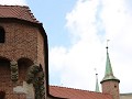 IMG 8779