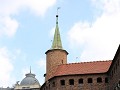 IMG 8780