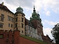 IMG 8847