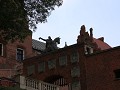 IMG 8849