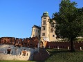 IMG 8901