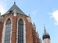 IMG 8800