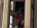 de waweldraak, op een balkon, die je via een qr-co
