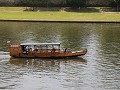 IMG 8851