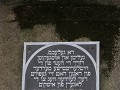 IMG 8895