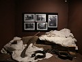 IMG 8955