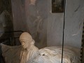IMG 9013